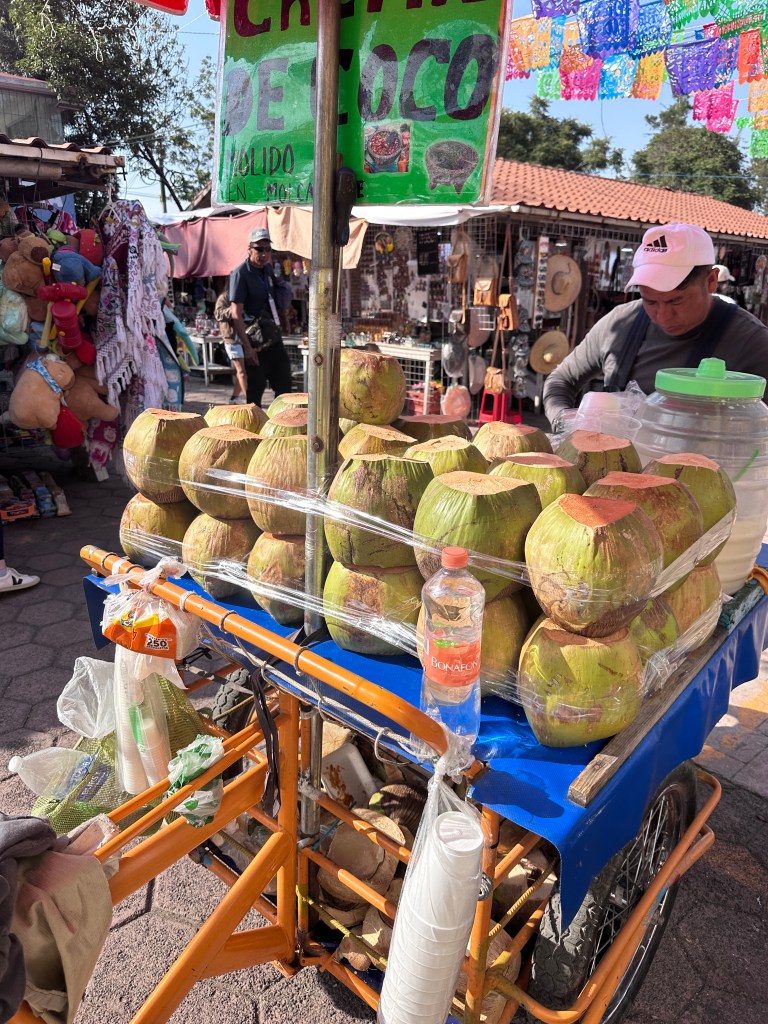 Tender coconut water
